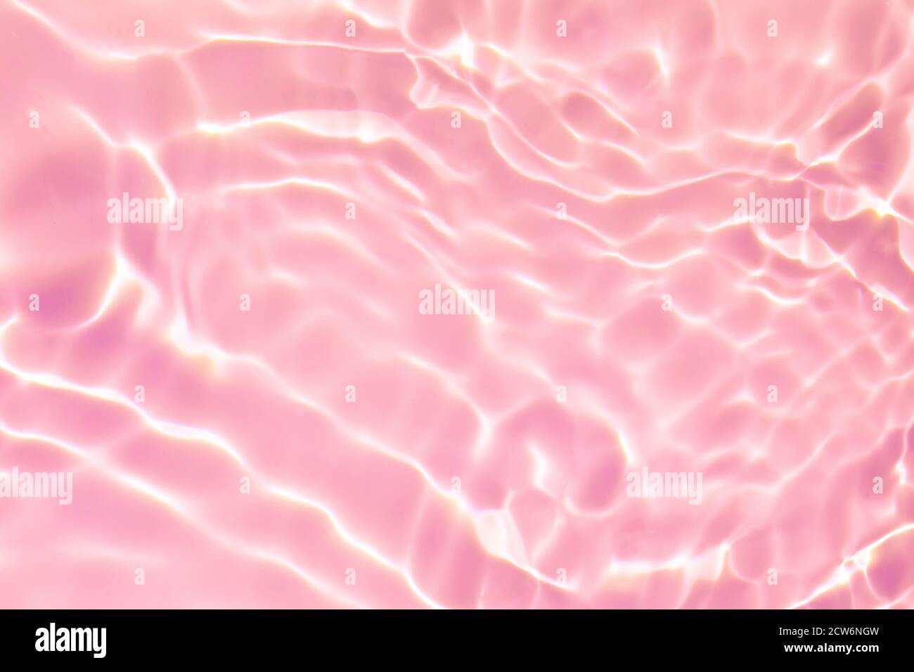 rose transparent eau transparente texture de surface été fond Banque D'Images