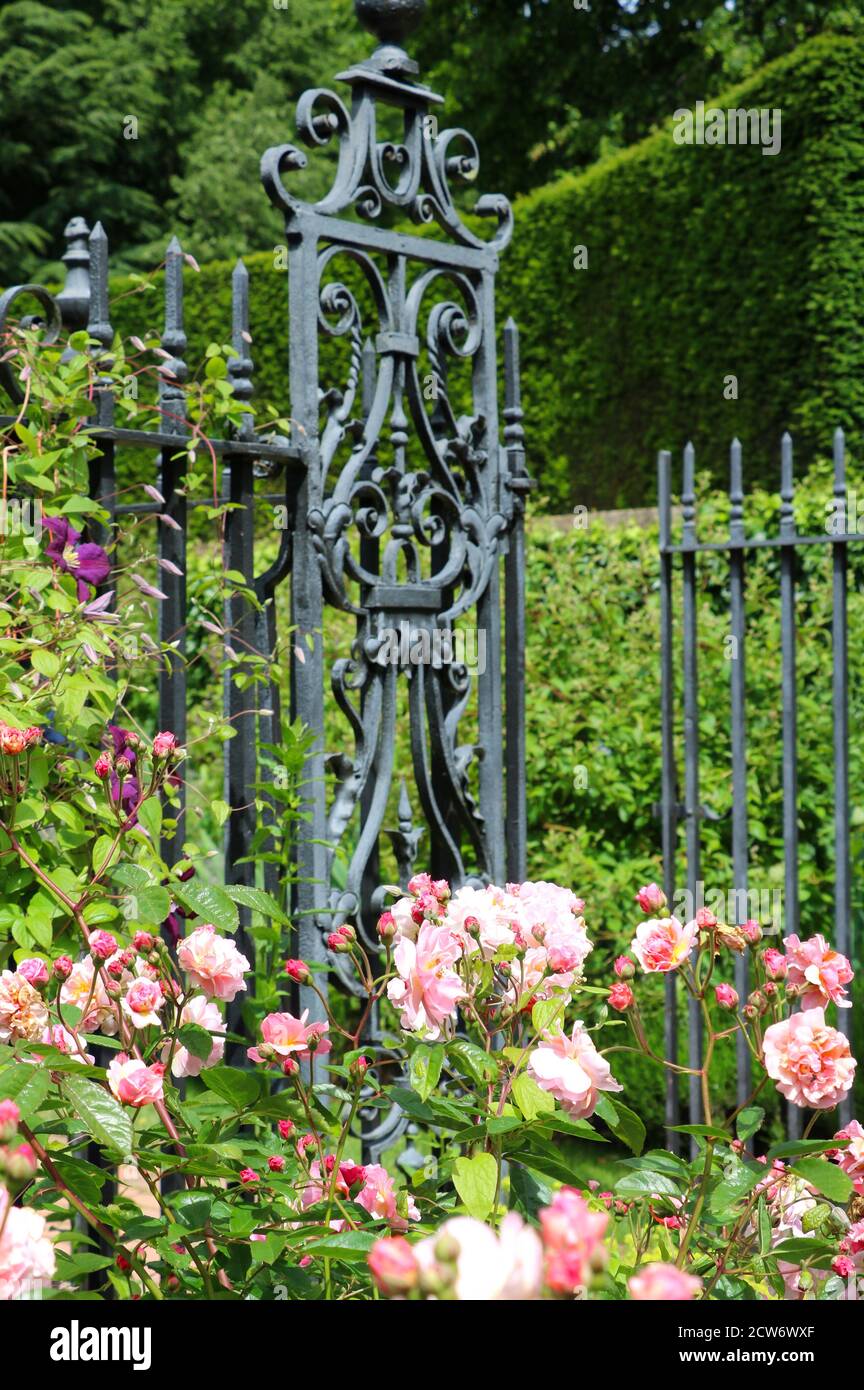 roses et porte en fer à Hidcote Manor Garden Angleterre Banque D'Images
