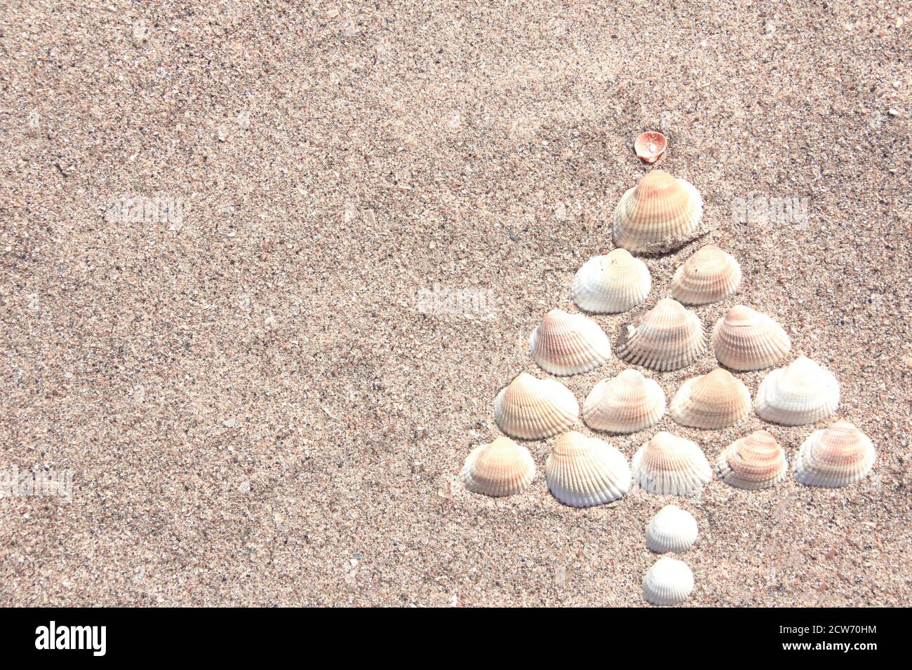 Arbre de Noël fait de coquillages sur sable jaune sec. Concept du nouvel an dans l'hémisphère sud Banque D'Images