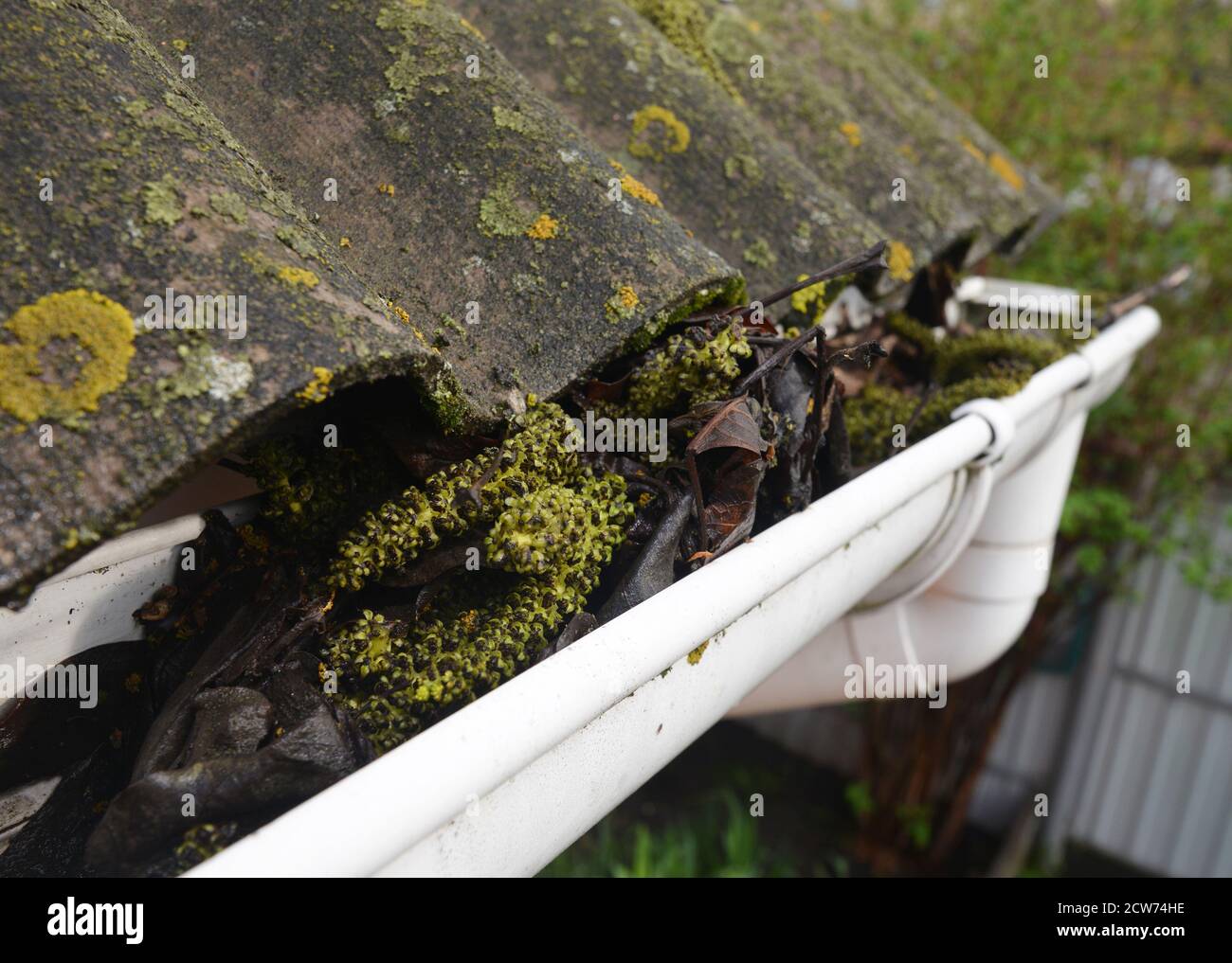 Les gouttières et le déversoir de toit bouchés avec de vieilles feuilles, de la saleté, de la mousse et du lichen causent des fuites de toit et endommagent la maison. Banque D'Images