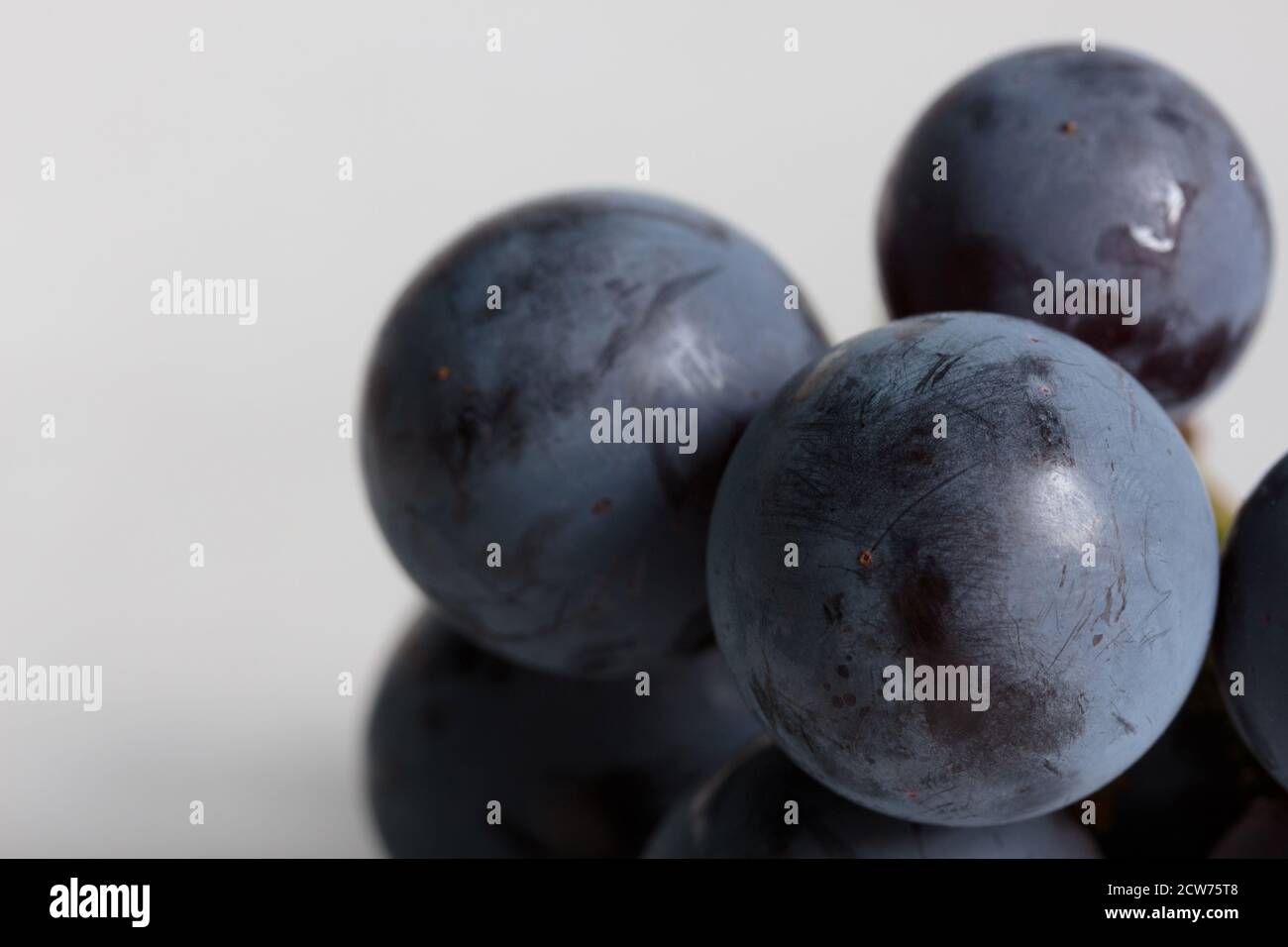 gros plan de quelques raisins secs concord sur un fond blanc et doux dans un éclairage naturel Banque D'Images