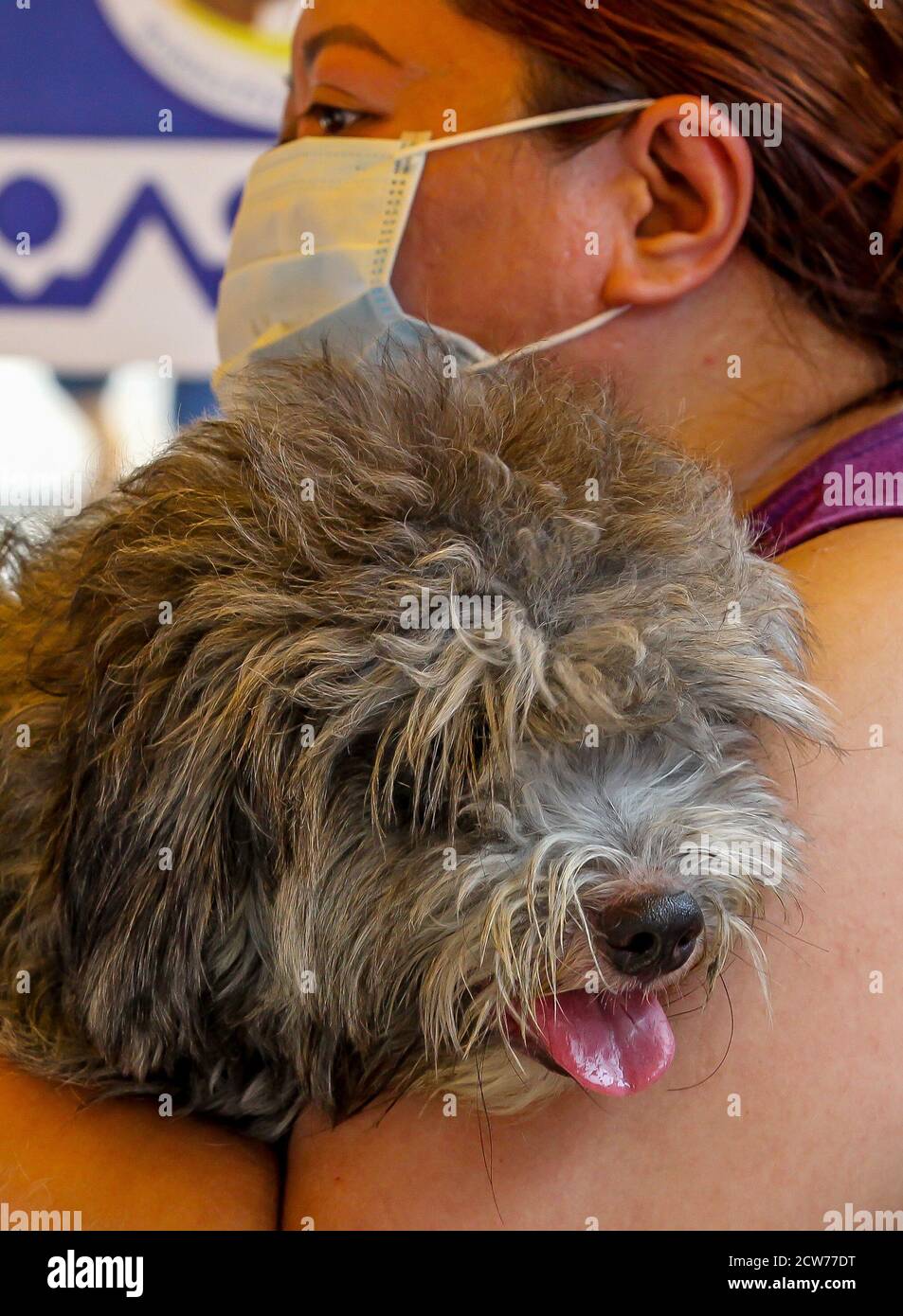 Manille. 28 septembre 2020. Une femme porte son chien en attendant un vaccin gratuit contre la rage à Manille, aux Philippines, le 28 septembre 2020. La Journée mondiale de la rage est célébrée le 28 septembre afin de sensibiliser les animaux de compagnie à la prévention de la rage. Crédit: Rouelle Umali/Xinhua/Alamy Live News Banque D'Images
