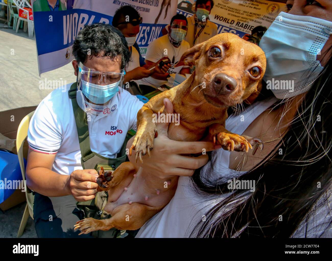 Manille. 28 septembre 2020. Un chien de compagnie reçoit gratuitement un vaccin contre la rage à Manille, aux Philippines, le 28 septembre 2020. La Journée mondiale de la rage est célébrée le 28 septembre afin de sensibiliser les animaux de compagnie à la prévention de la rage. Crédit: Rouelle Umali/Xinhua/Alamy Live News Banque D'Images