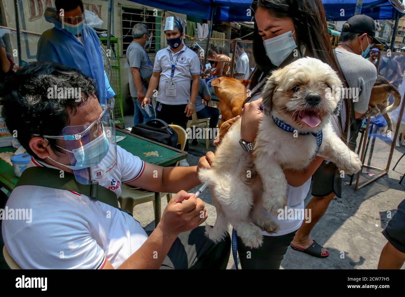 Manille. 28 septembre 2020. Un chien de compagnie reçoit gratuitement un vaccin contre la rage à Manille, aux Philippines, le 28 septembre 2020. La Journée mondiale de la rage est célébrée le 28 septembre afin de sensibiliser les animaux de compagnie à la prévention de la rage. Crédit: Rouelle Umali/Xinhua/Alamy Live News Banque D'Images