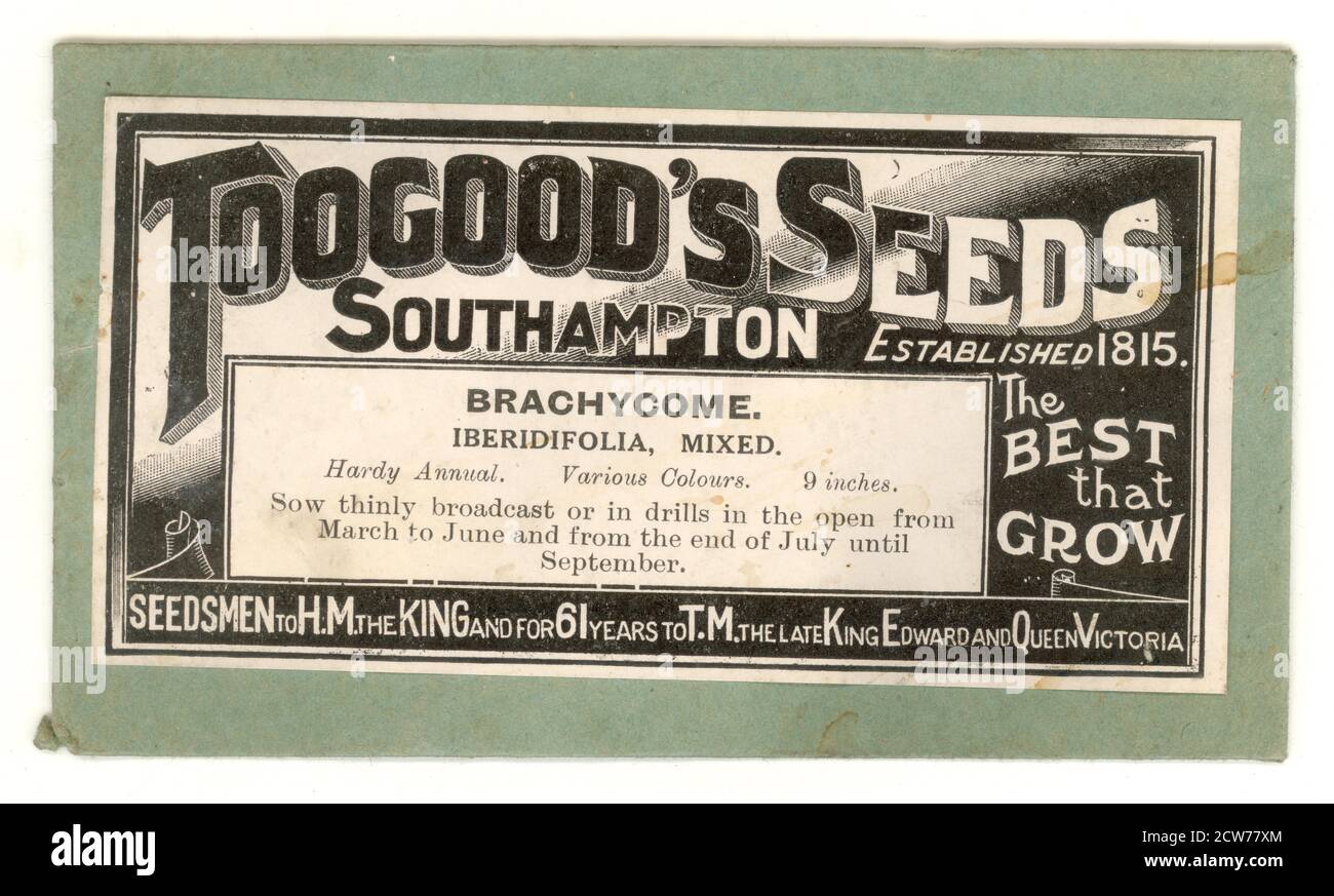 Au début des années 1900, le paquet Toogood's Seeds, Brachyscome iberidifolia, les planteurs de Swan River Daisy (Australie) au roi George V (et à la fin de l'Edward), date donc vers 1911, Southampton, U.K Banque D'Images