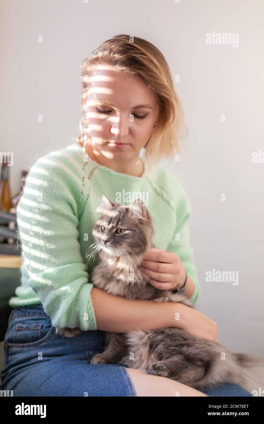 Gros plan de la belle jeune femme européenne en chandail vert avec chat domestique gris, ombre solaire des stores. Relations homme-animal. Banque D'Images