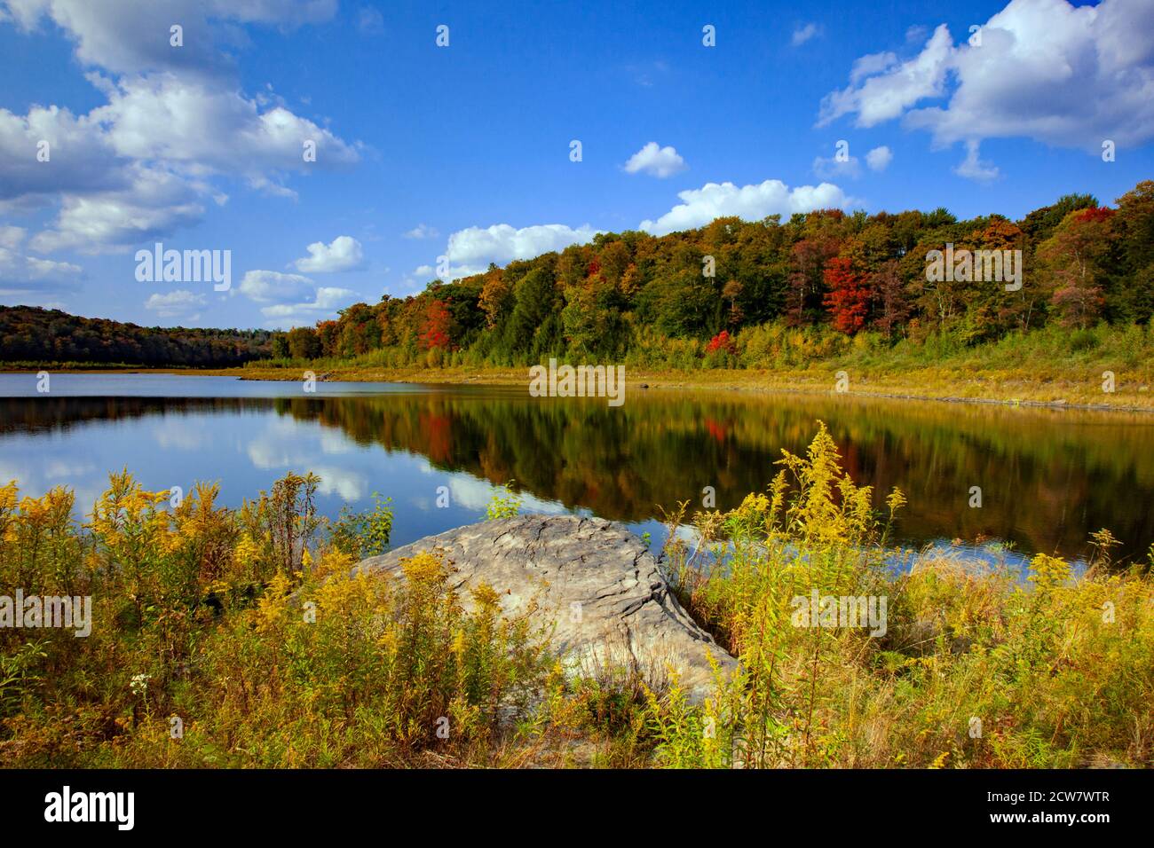 Lower Woods Pond est un lac naturel de 50 hectares situé dans le nord du comté de Wayne, en Pennsylvanie. Pendant des années, la sortie a été damée pour augmenter la taille du lac à 91 Banque D'Images