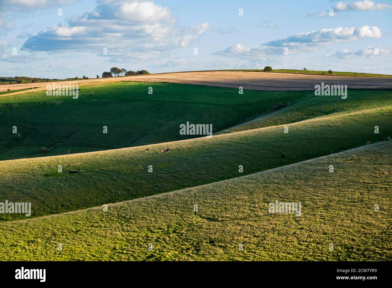 Devil's Punchbowl sur Hackpen Hill à côté du sentier de la Ridge Way, près de Wantage, Oxfordshire, Angleterre, Royaume-Uni, Europe Banque D'Images