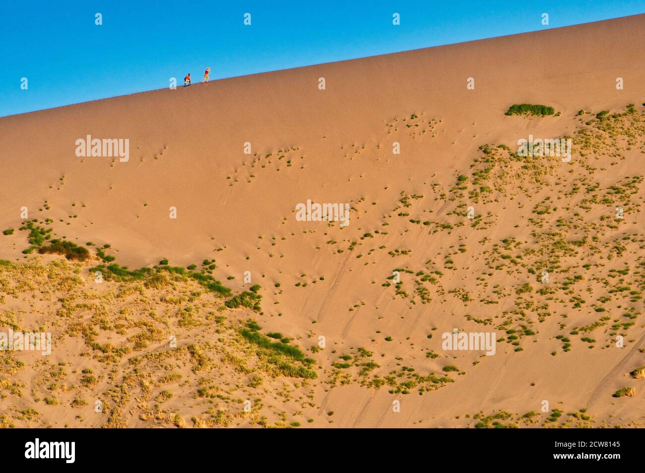 Randonneurs à Big Dune au parc national de Bruneau Dunes, coucher de soleil, région de High Desert, Idaho, États-Unis Banque D'Images