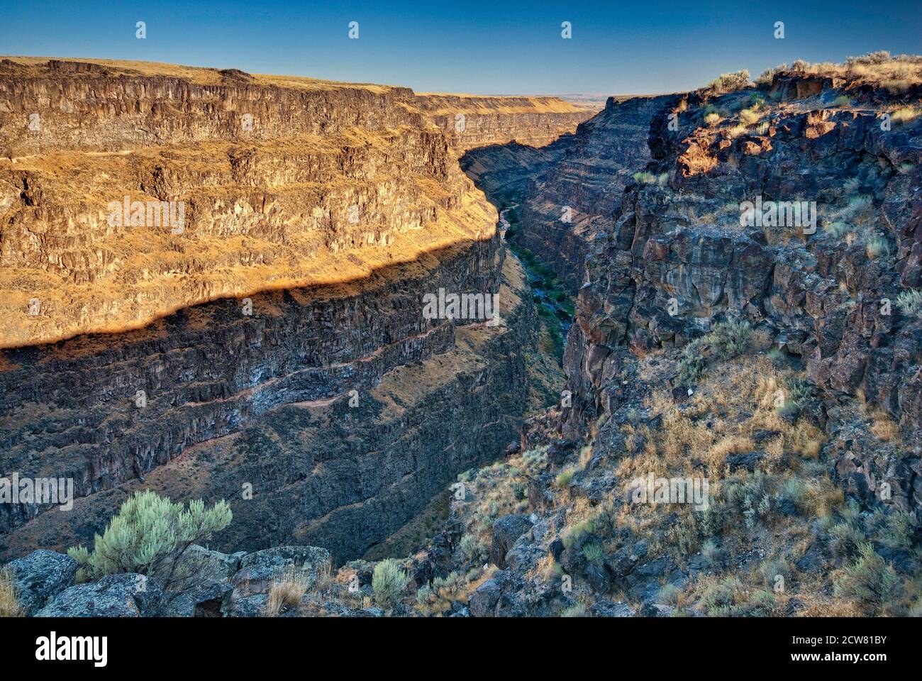 Bruneau River Canyon en haute région désertique, California, USA Banque D'Images