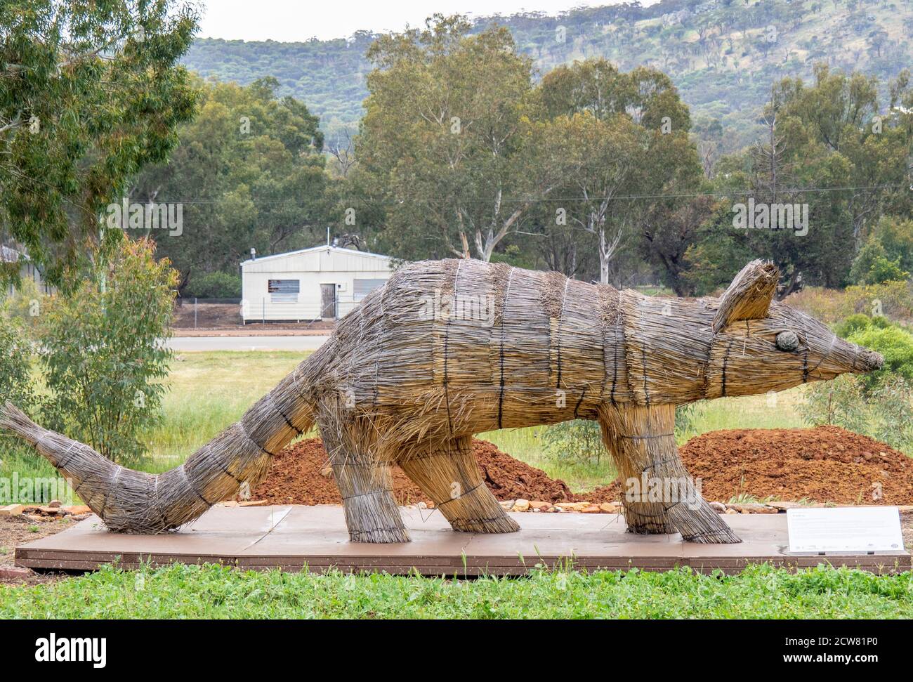 Sculpture de paille de blé de numbat conçue par Shingo Miyajima et Masaharu Noguchi Wara art Trail York Australie occidentale. Banque D'Images
