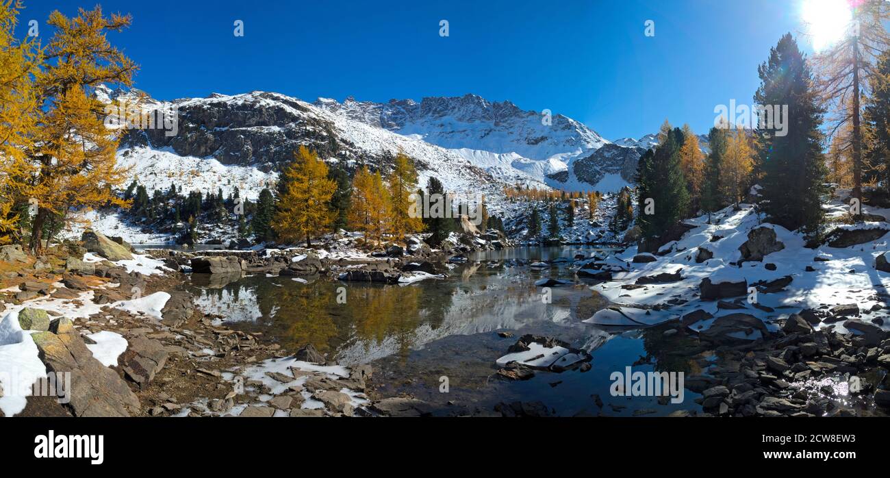 Suisse: Automne dans une forêt qui se reflète dans le lac gelé Banque D'Images