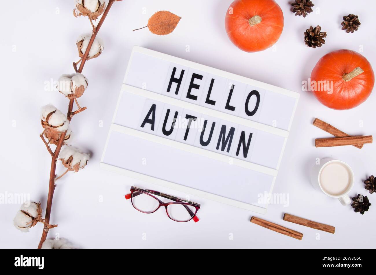 fond d'automne avec potiron, cannelle et plante de coton sur fond blanc Banque D'Images
