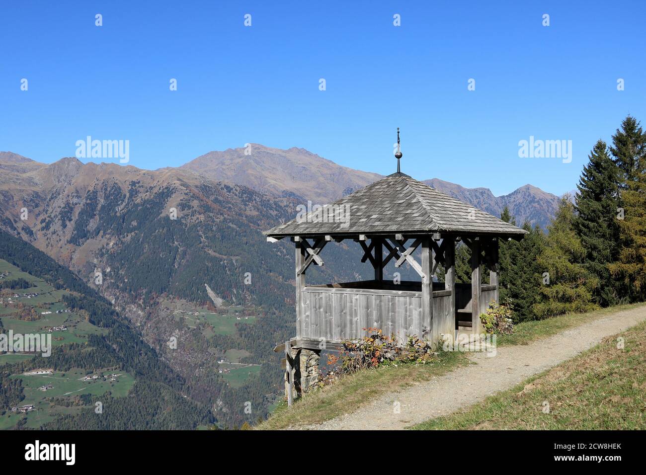 Paysage alpin avec arbre en automne Suoth Tyrol Italie Banque D'Images