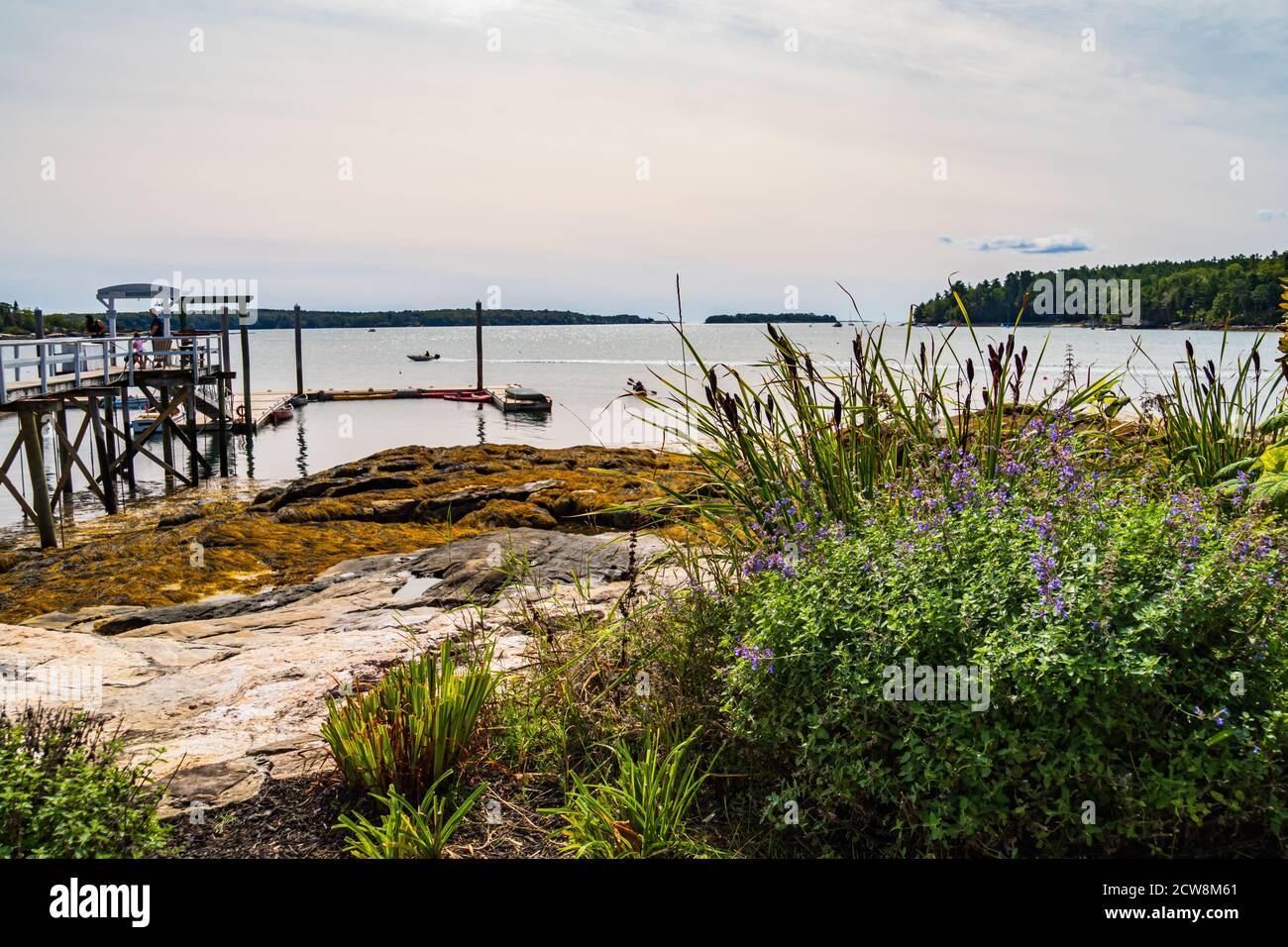 Vue sur Linekin Bay, Maine Banque D'Images