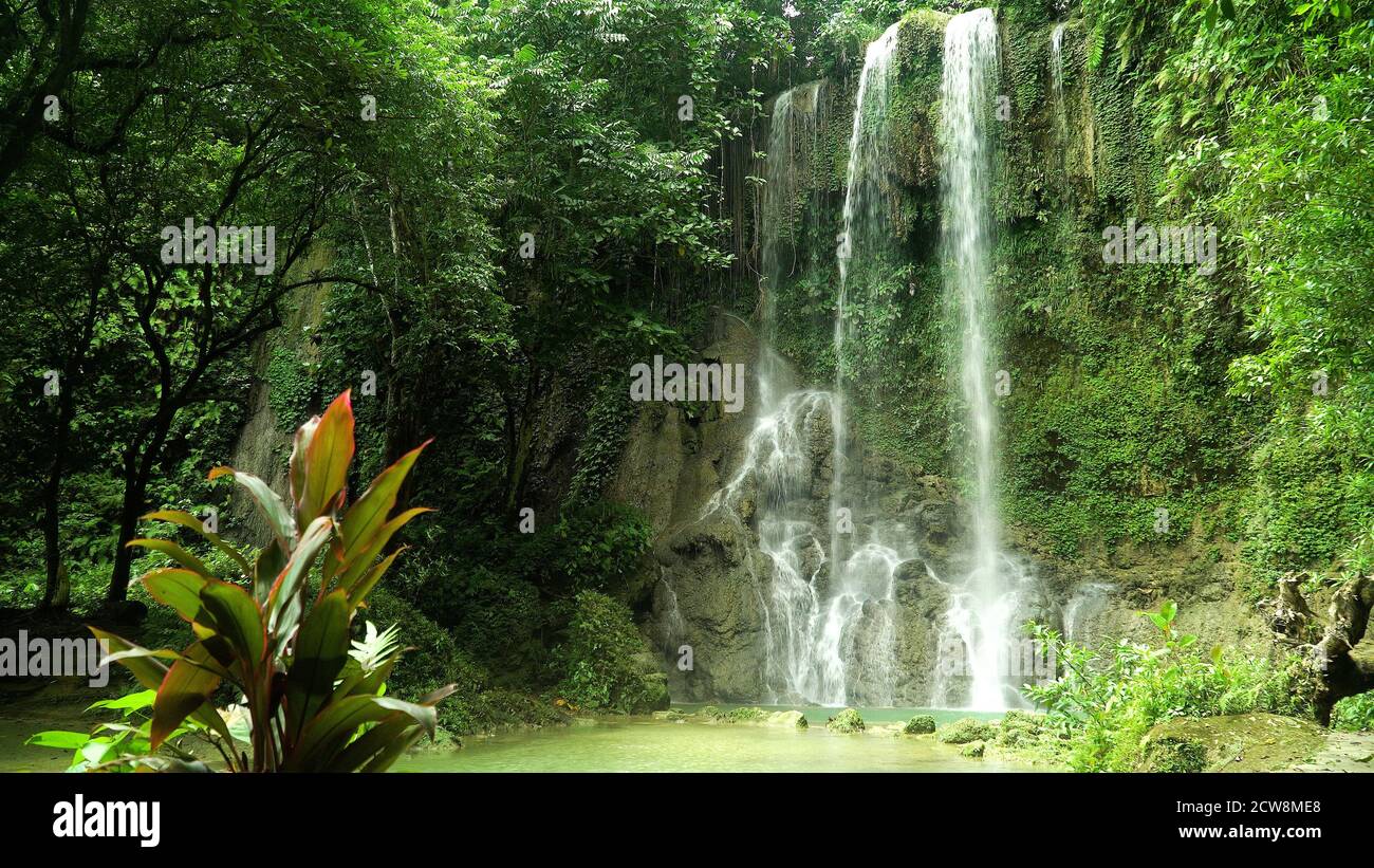 Chutes Kawasan dans la jungle tropicale, Bohol, Philippines. Cascade dans  la forêt tropicale Photo Stock - Alamy