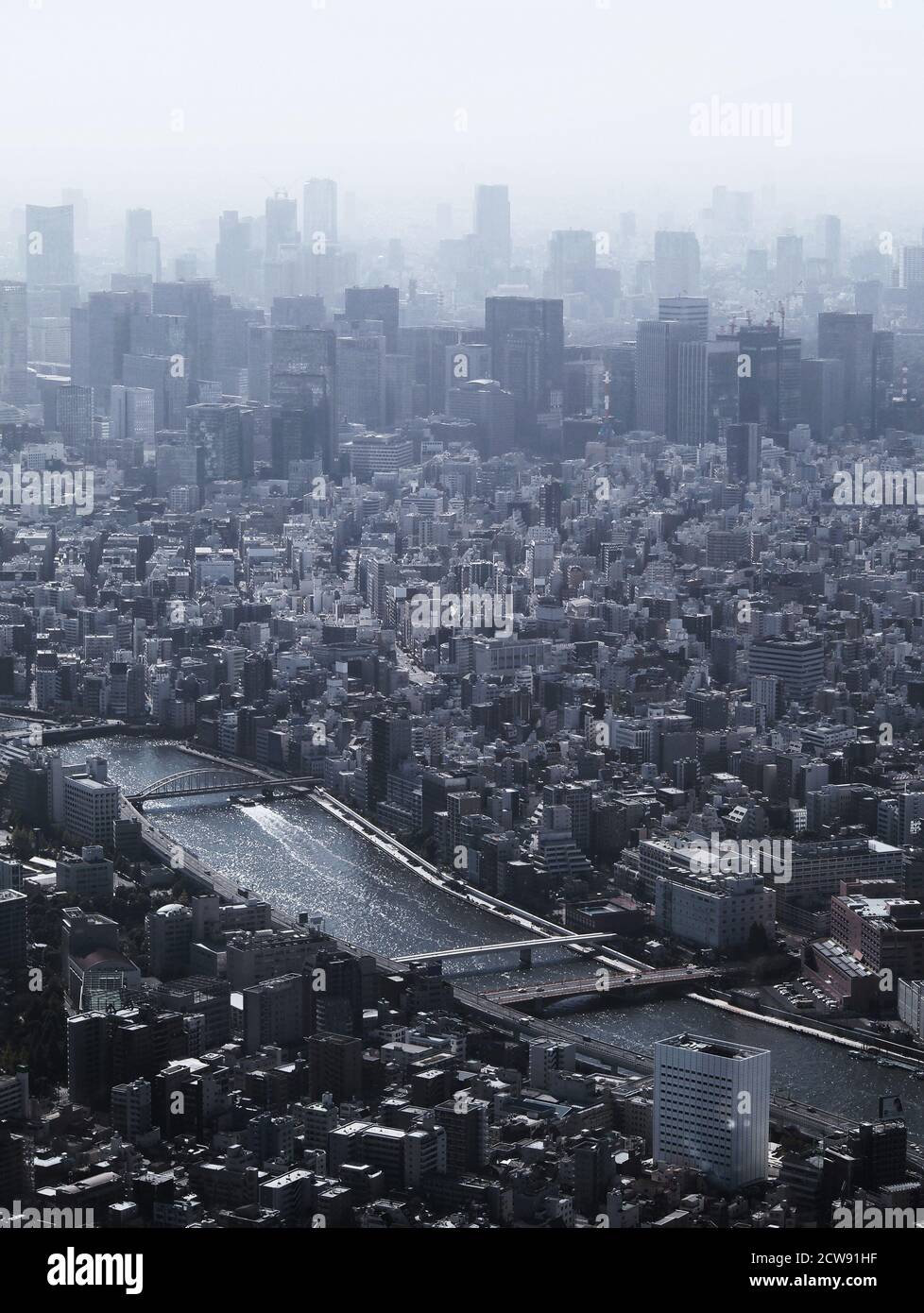 Paysage de la vieille ville de Tokyo où coule le fleuve Sumida Et des gratte-ciels dans le centre de Tokyo Banque D'Images