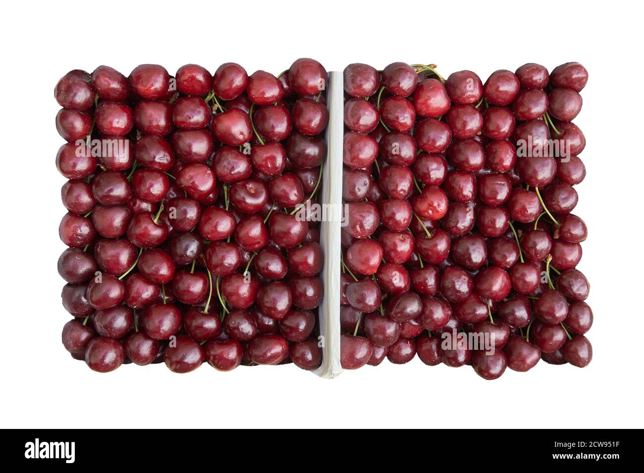 cerisier mûr doux viburnum fond de cerisier. Banque D'Images