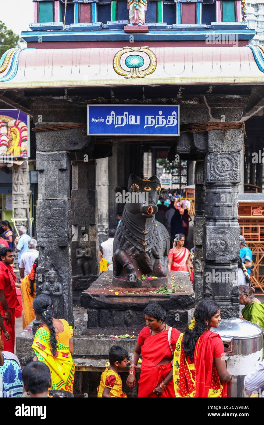 Gros plan du temple hindou avec statue géante noire Du taureau Nandi Banque D'Images