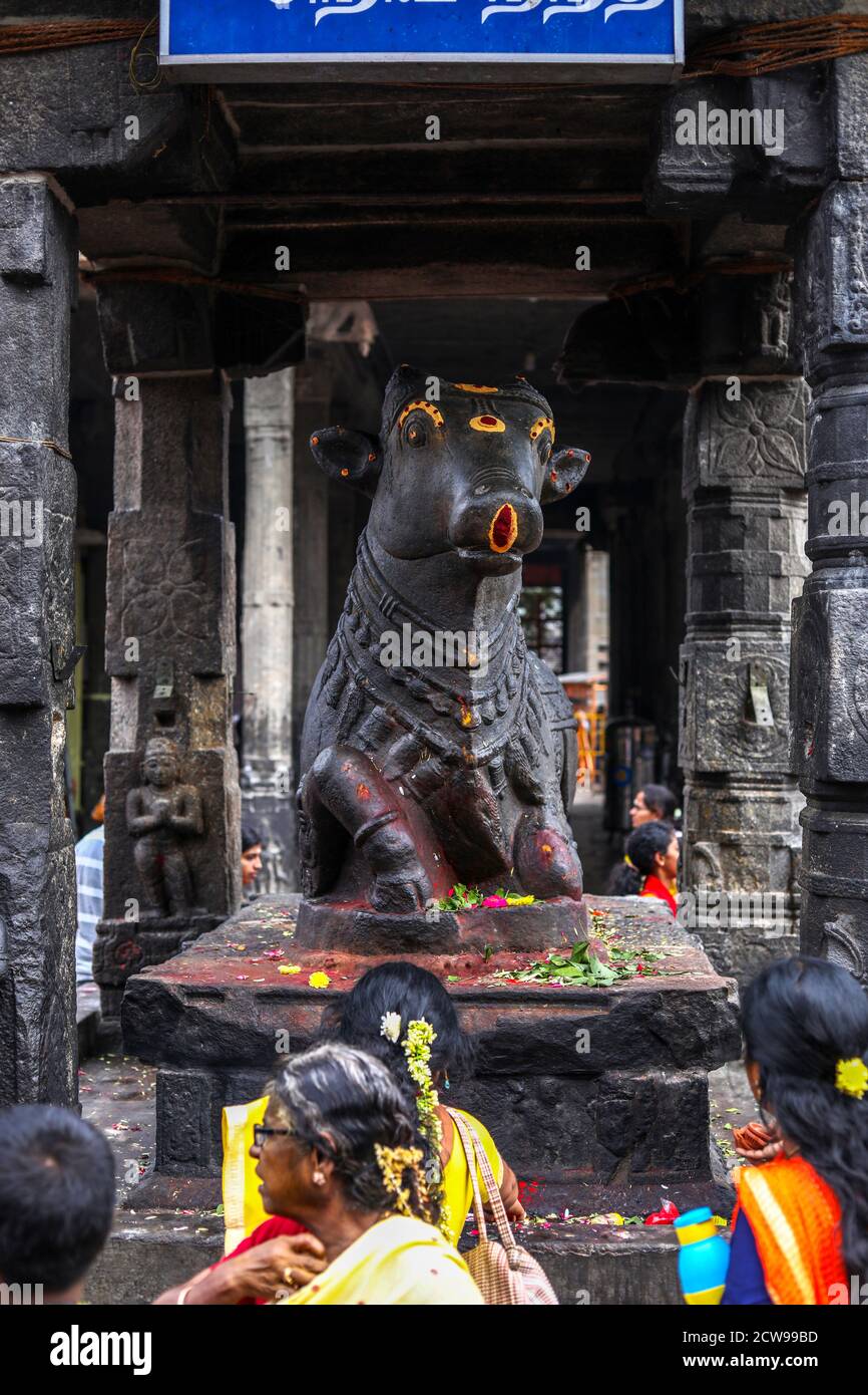 Gros plan du temple hindou avec statue géante noire Du taureau Nandi Banque D'Images