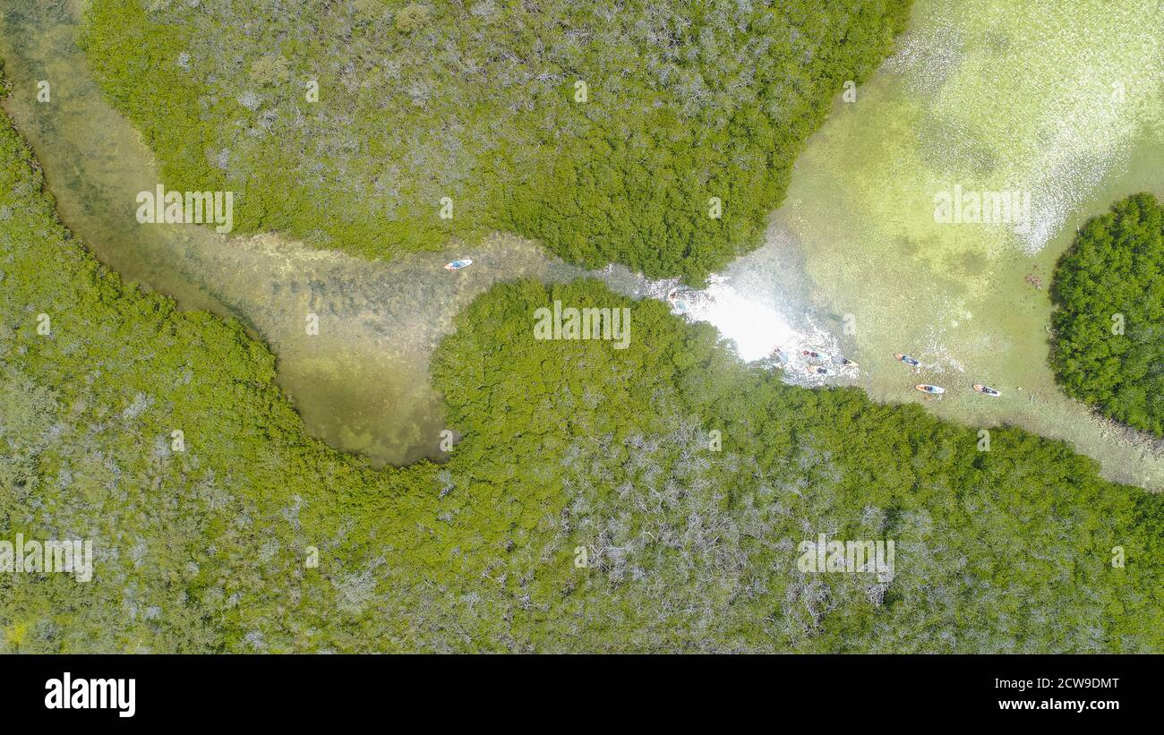 Île de GRESKY vue aérienne avec ascension et tourner à droite approche du canal dans la forêt de mangroves. Zone de protection intégrale los Roques Venezuela Banque D'Images