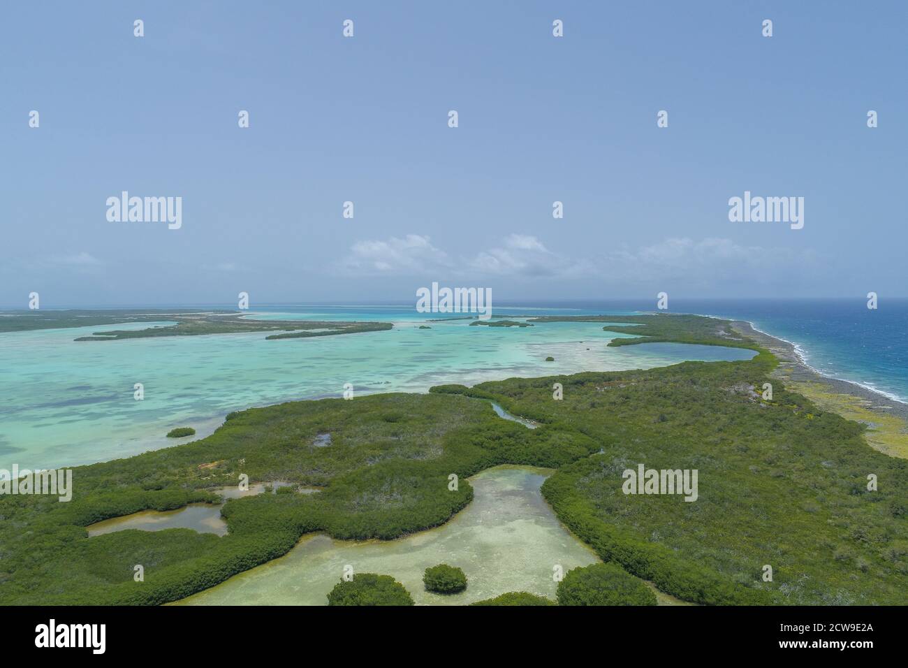 Paysage Drone Caribbean Island avec mangrove forêt à Los Roques Parc national Venezuela Banque D'Images