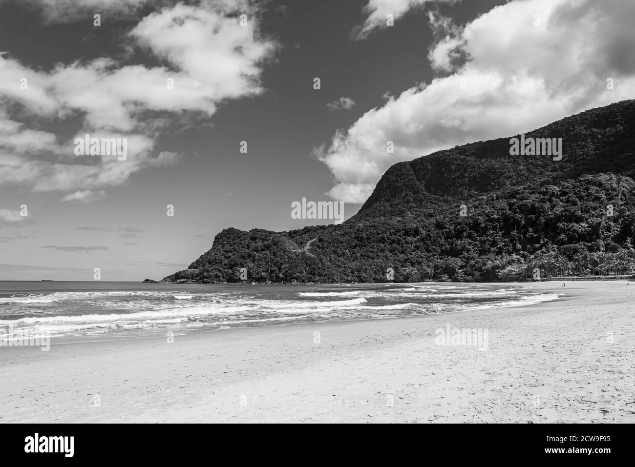 Photo en noir et blanc du paysage tropical de la plage au Brésil Banque D'Images