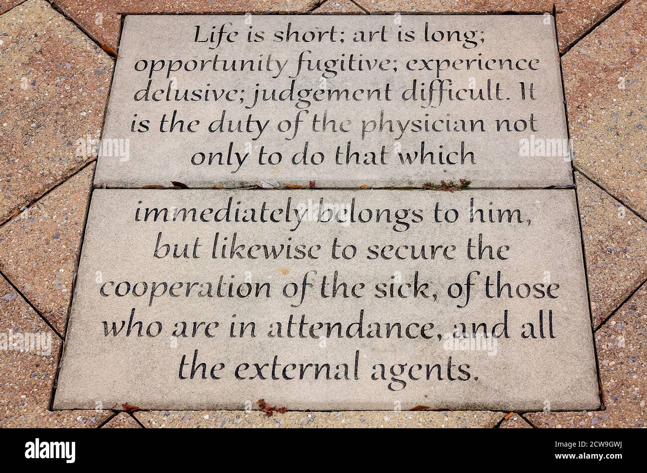 Une citation de Hippocrate est inscrite en béton sur le campus de l'Université de l'Alabama du Sud, le 26 septembre 2020, à Mobile, Alabama. Banque D'Images