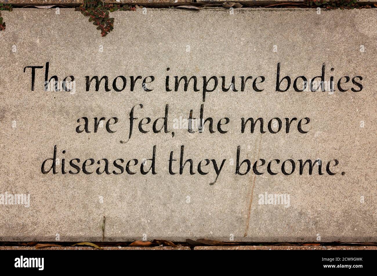 Une Citation De Hippocrate Est Inscrite En Beton Sur Le Campus De L Universite De L Alabama Du Sud Le 26 Septembre A Mobile Alabama Photo Stock Alamy