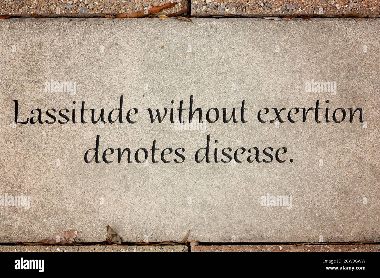 Une Citation De Hippocrate Est Inscrite En Beton Sur Le Campus De L Universite De L Alabama Du Sud Le 26 Septembre A Mobile Alabama Photo Stock Alamy