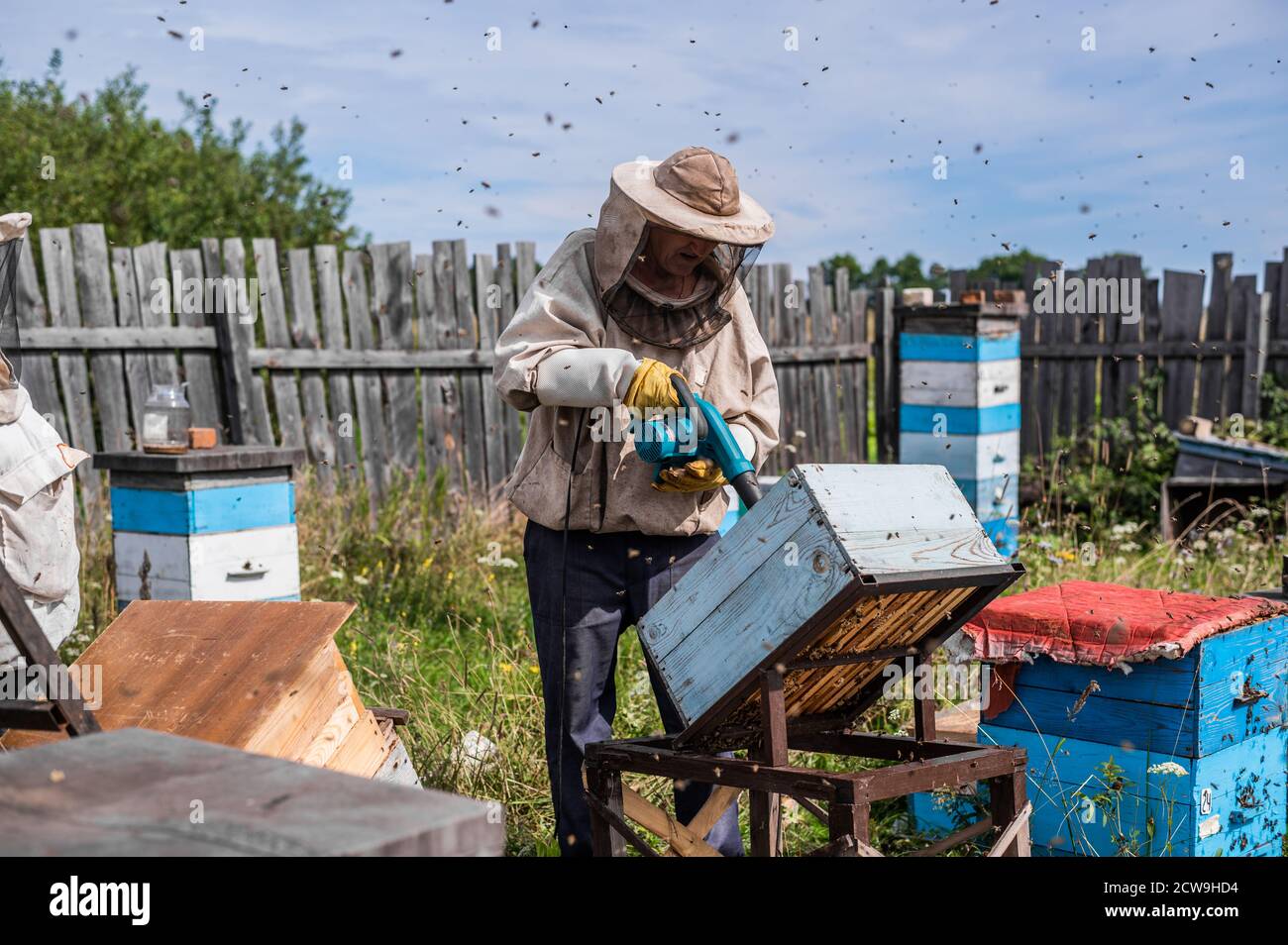 L'apiculteur utilise un appareil de soufflage d'air pour brosser les abeilles de côté. Les abeilles se balanlent dans un conteneur de collecte. Réceptacle de poignées de garde-d'abeilles avec grand abeille Banque D'Images
