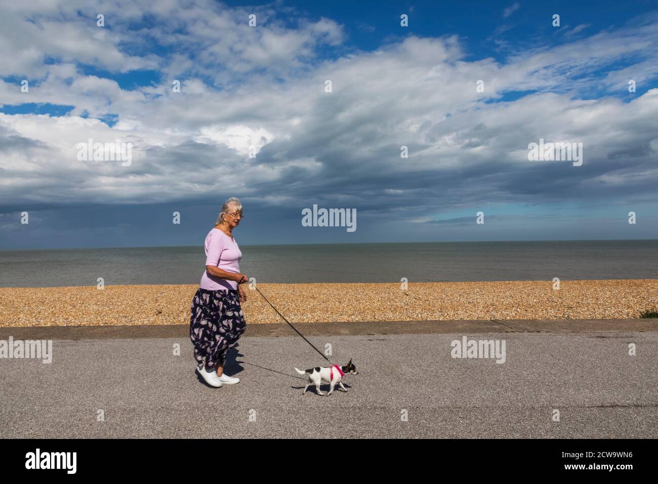 Angleterre, Kent, Deal, Lady Walking petit chien sur la promenade en bord de mer Banque D'Images