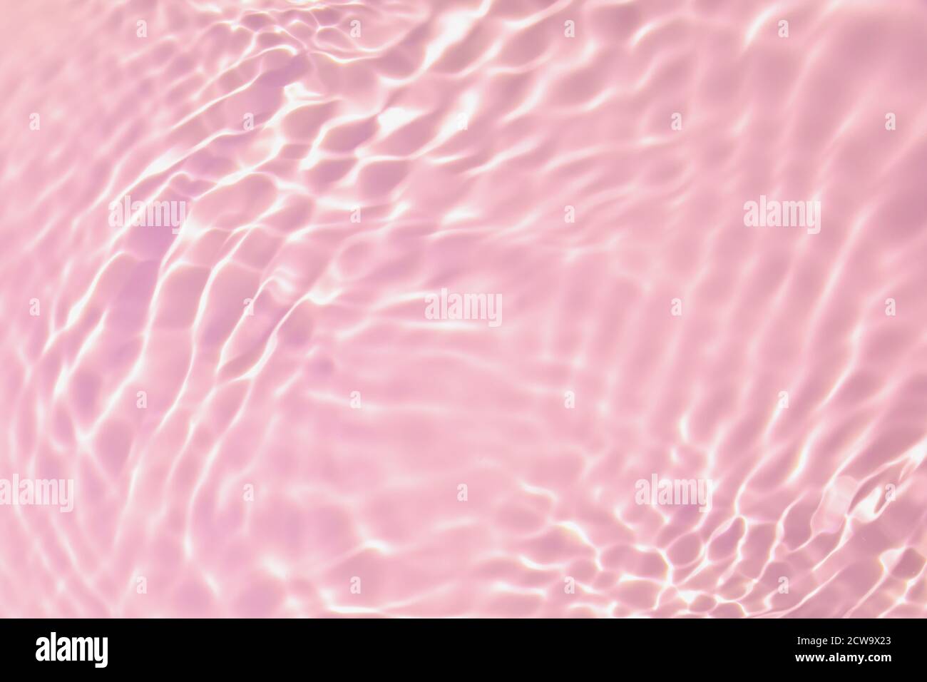 rose transparent eau transparente texture de surface été fond Banque D'Images