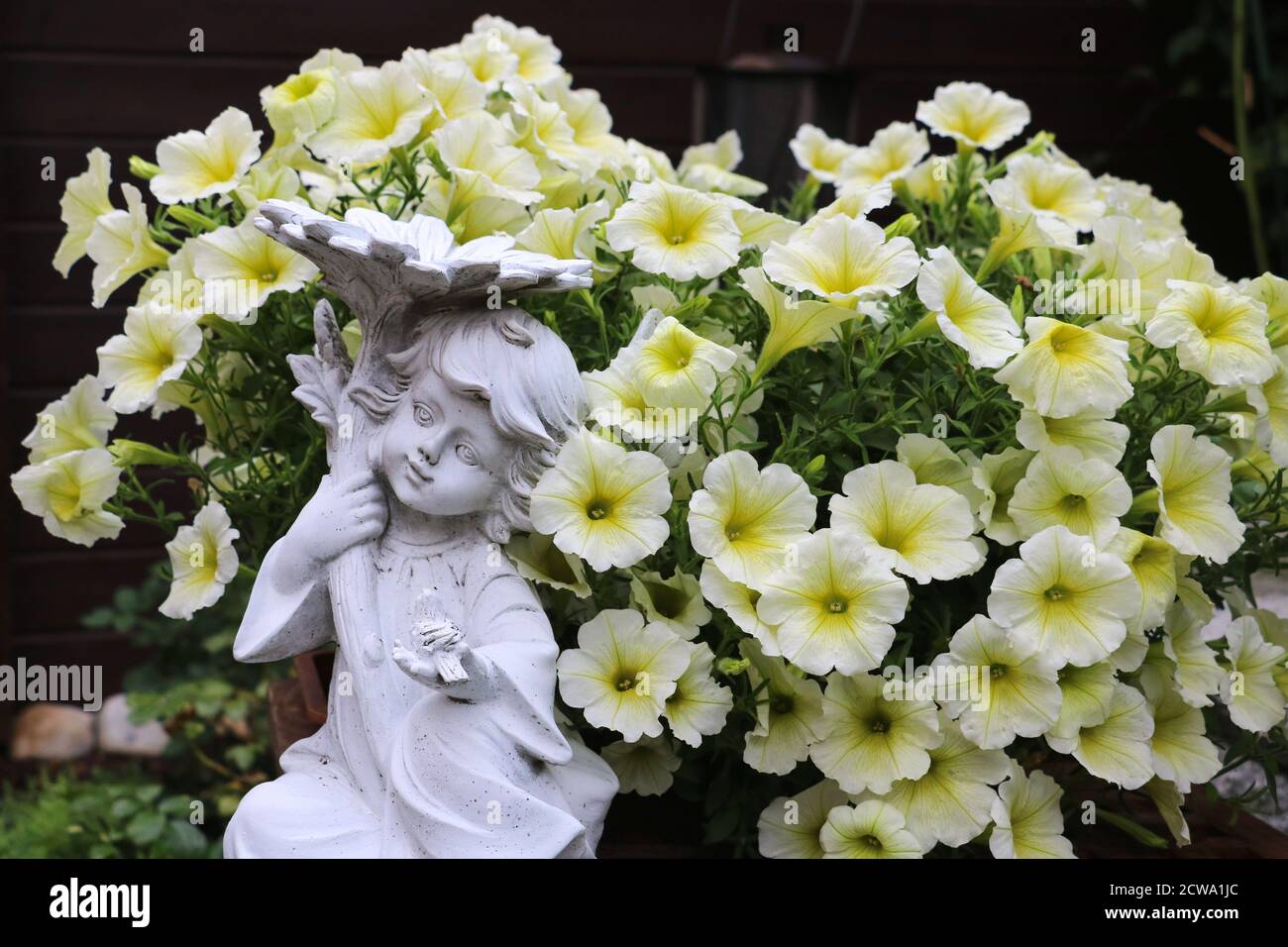fleur pétunia jaune clair et figure de jardin ange Banque D'Images