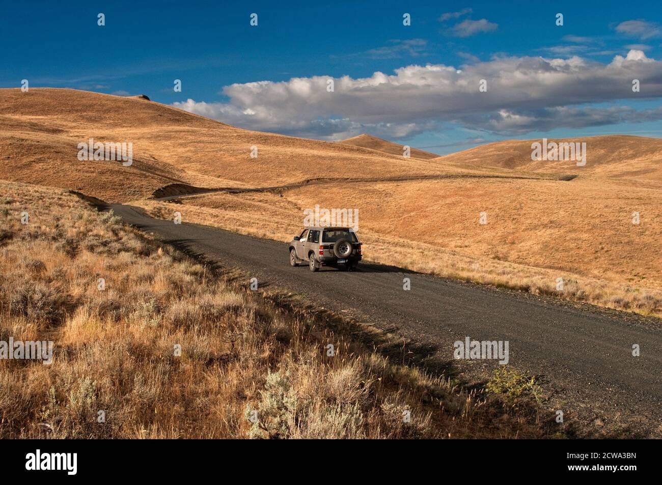 Véhicule 4x4 sur route de terre à prairie jusqu'à Leslie Gulch et Owyhee Lake, Mahogany Mountain Caldera, High Desert Region, Oregon, États-Unis Banque D'Images