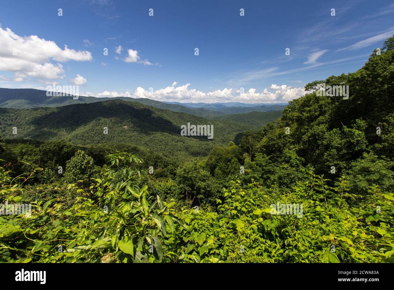 Vue panoramique sur les Appalaches Mountain sur la Foothills Parkway, dans le parc national des Great Smoky Mountains du Tennessee. Banque D'Images