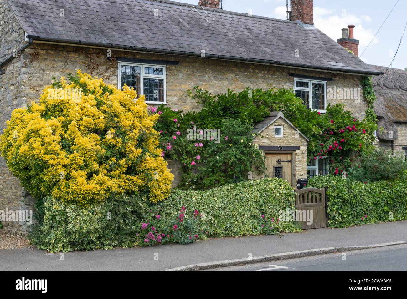 Maison en pierre avec un jardin étroit de devant rempli de plantation dans le village de Hanslope, Buckinghamshire, Royaume-Uni Banque D'Images