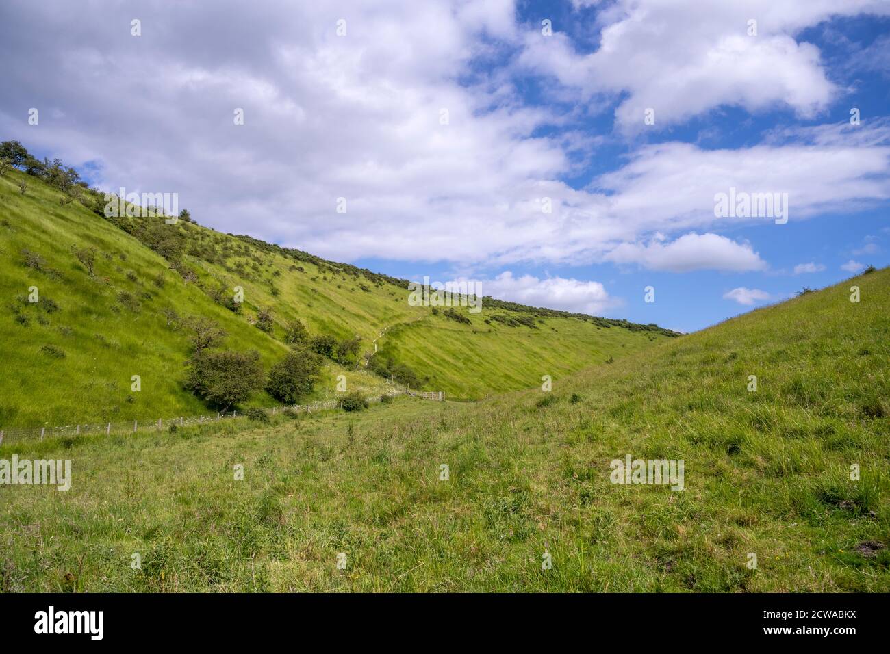 Sylvandale sur les Yorkshire Wolds Banque D'Images