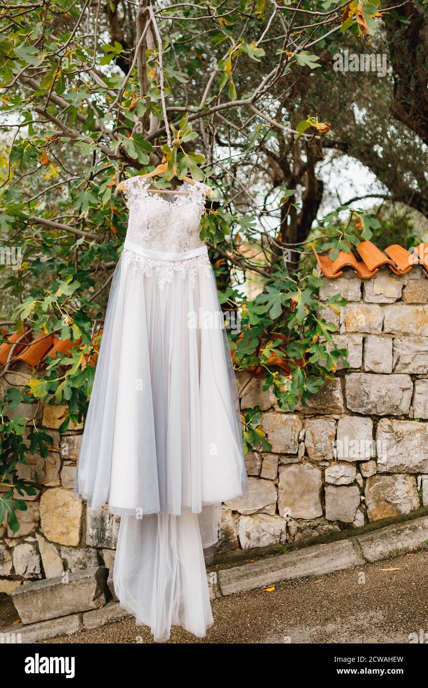 Accrochee A La Robe De Mariee La robe de mariage grise de la mariée est accroché au figuier Photo Stock -  Alamy