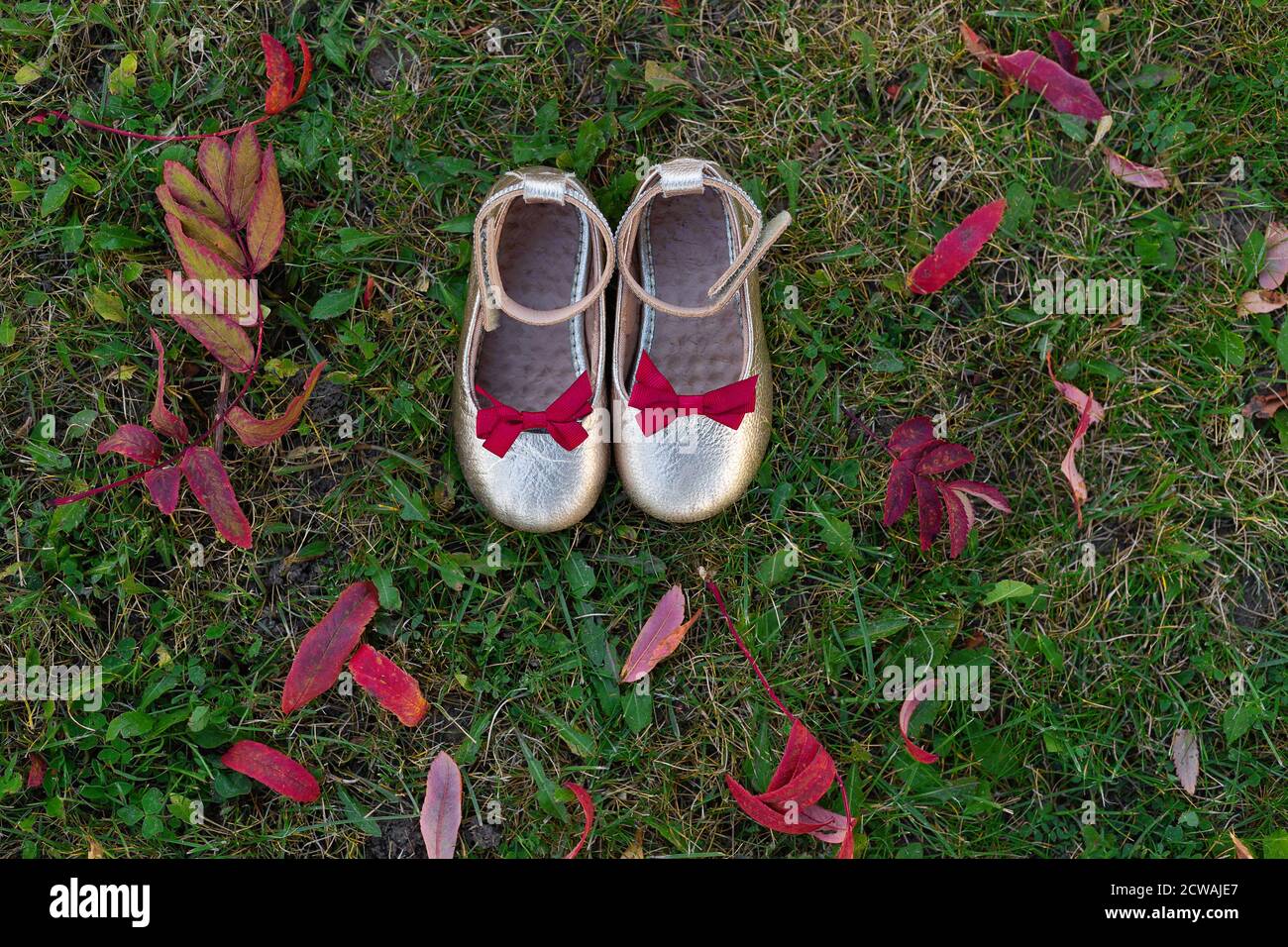 De belles chaussures argentées de bébé se tiennent sur le sol avec des feuilles d'automne. Les feuilles rouges reposent sur l'herbe verte. Chaussures avec boucles rouges. Vue de dessus. Mise en page à plat Banque D'Images