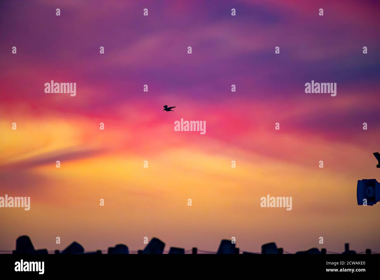 Magnifique ensemble de soleil méditerranéen. Comme un oiseau traverse le ciel. Photographié en Israël Banque D'Images