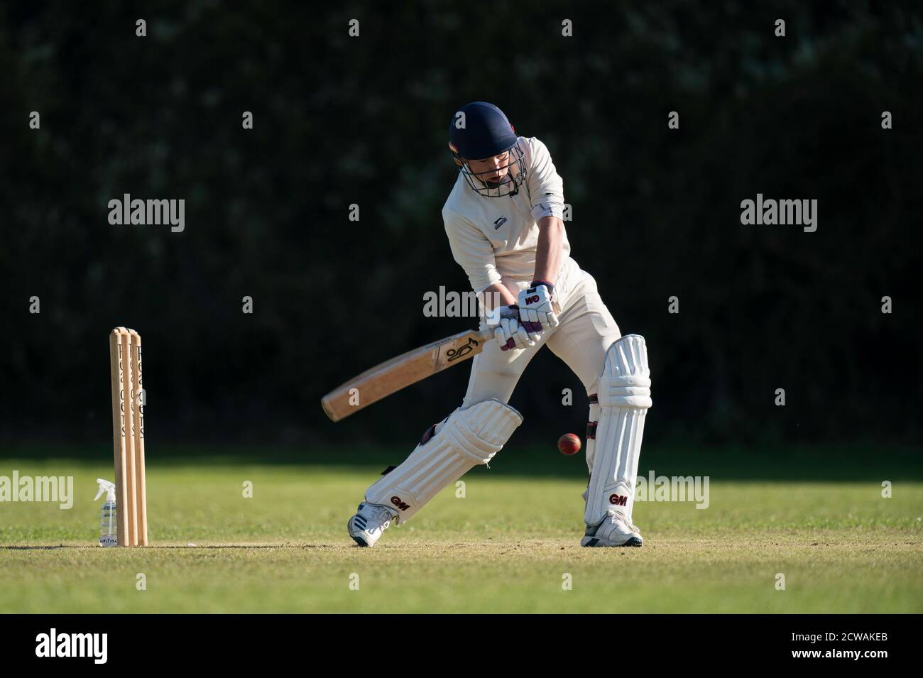 Batteur de cricket jouant au tir. Banque D'Images