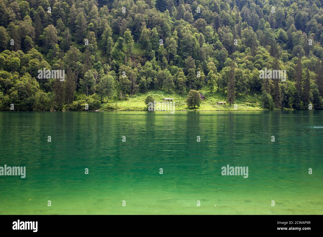 Lac Königssee , Parc National de Berchtesgaden, région de Berchtesgaden, haute-Bavière, Bavière, Allemagne, Europe Banque D'Images