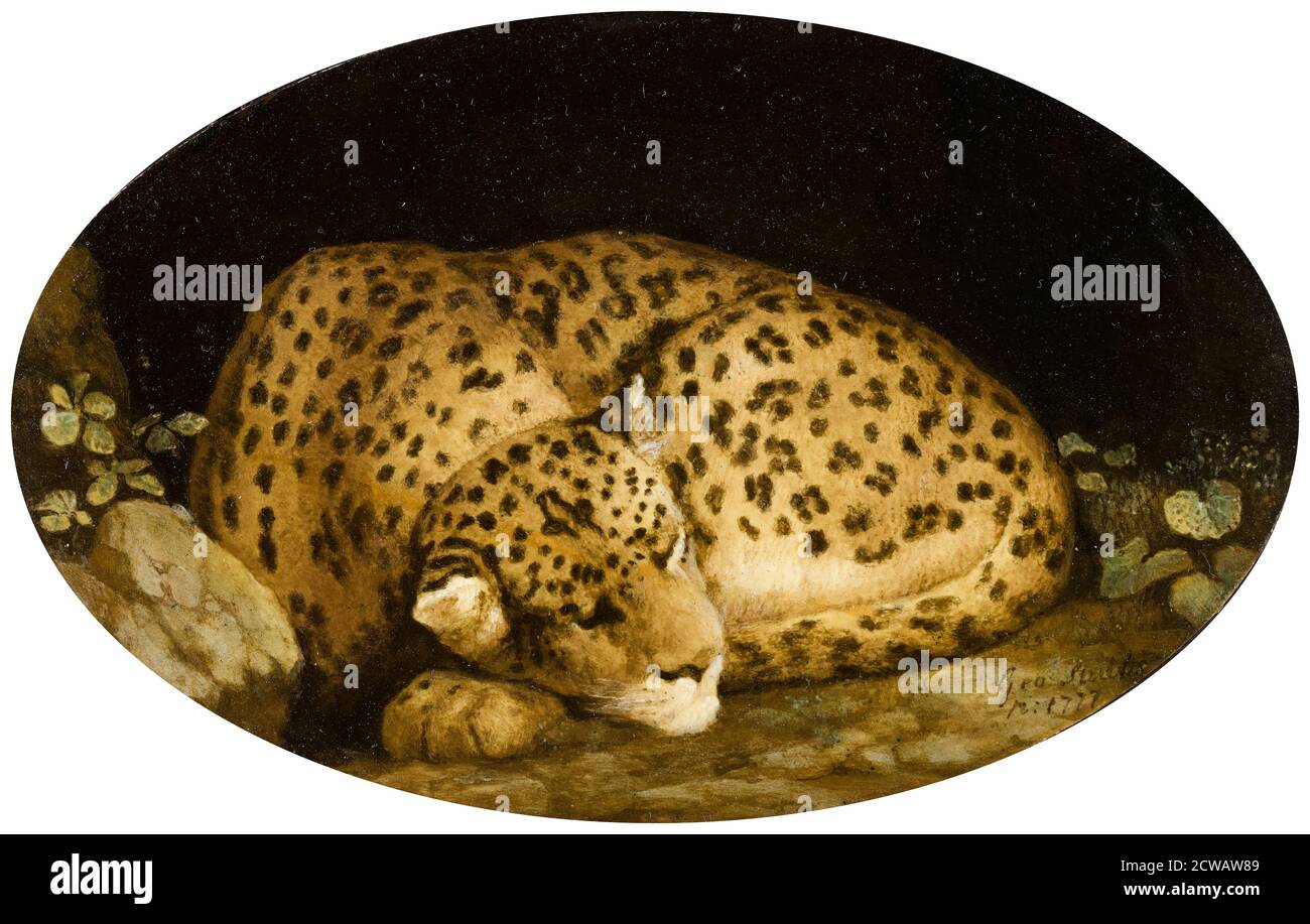 Léopard du sommeil, peinture par George Stubbs, 1777 Banque D'Images