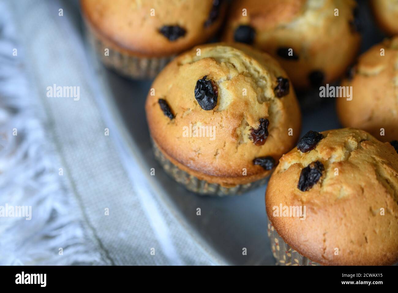 Muffins sur une assiette grise. Gros plan. Banque D'Images