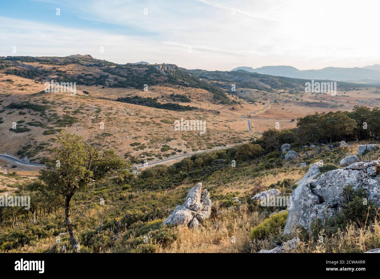 Route sinueuse à travers les montagnes de Serrania de Ronda, Andalousie, Espagne. Banque D'Images