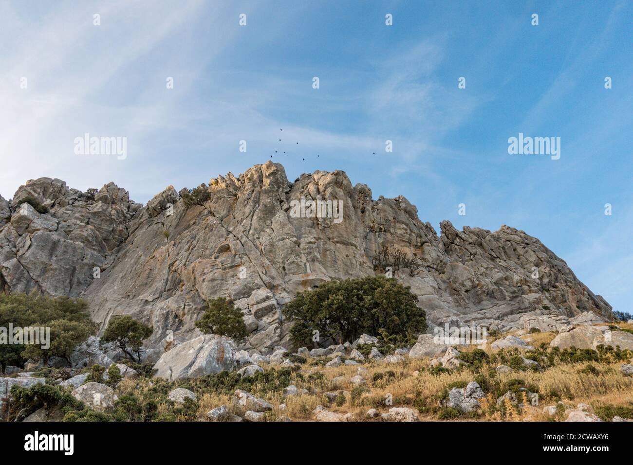 Paysage pittoresque à Puerto del Viento, montagnes de Serrania de Ronda, Andalousie, Espagne. Banque D'Images