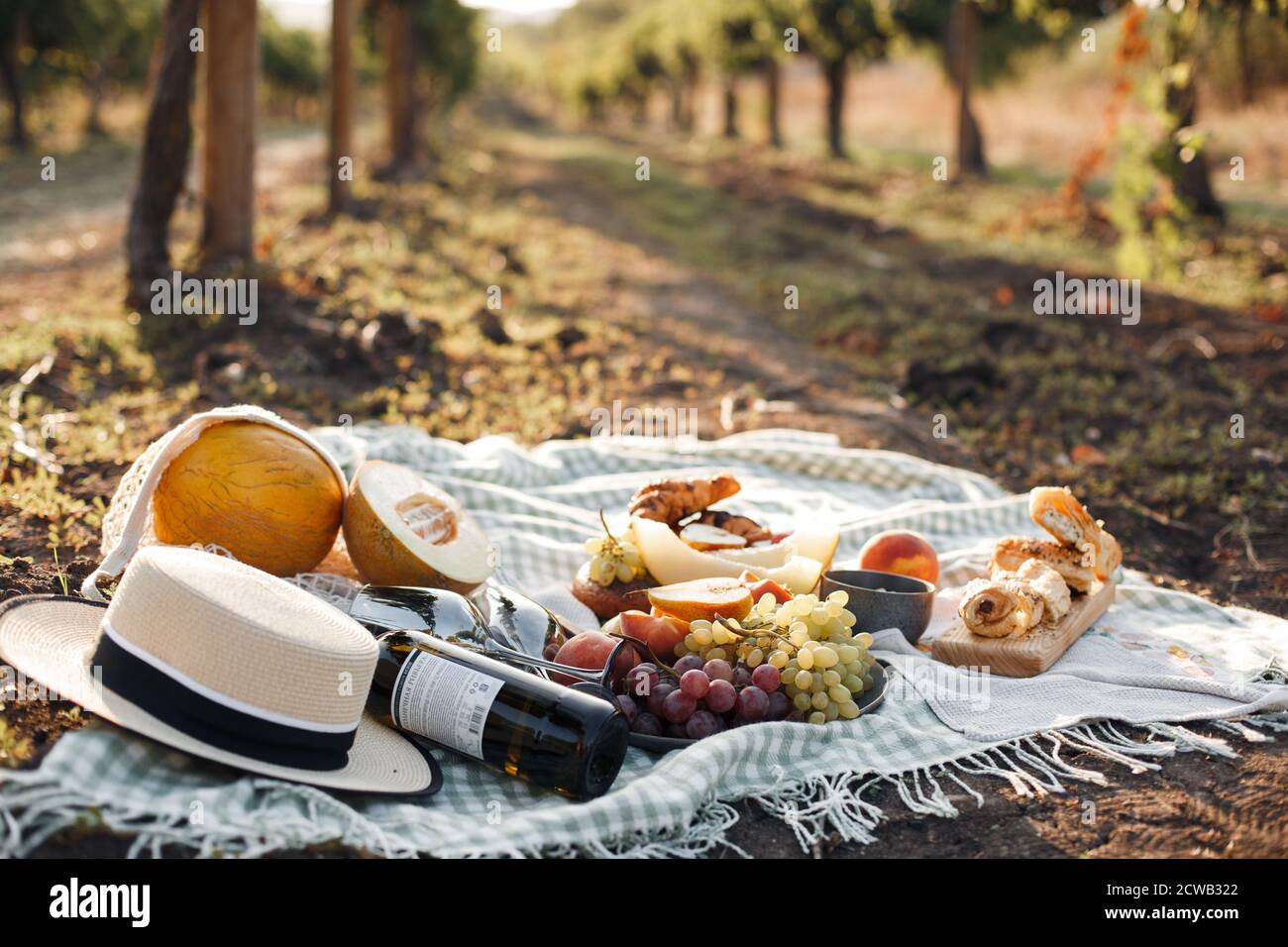 picknick avec de la nourriture et des fruits en plein air dans la nature Banque D'Images