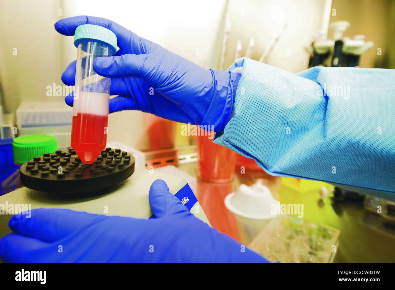 La Food and Drug Administration (FDA) des États-Unis est responsable de la protection de la santé publique en réglementant et en assurant la sécurité des médicaments à usage humain et vétérinaire, des produits biologiques, des dispositifs médicaux, des aliments, des cosmétiques, et les produits émettant des rayonnements. Elle joue un rôle clé pour assurer la sécurité et l'efficacité des produits médicaux et de consommation. Banque D'Images
