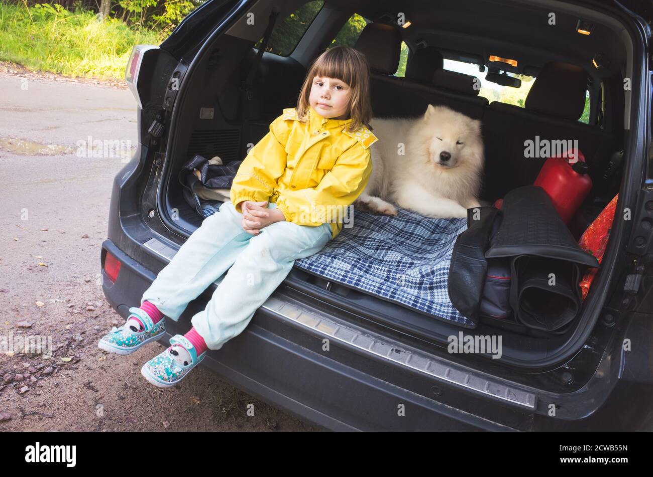 Petite fille et chien de Samoyed assis dans un tronc de vus familiale Banque D'Images